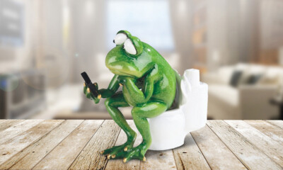 5.75''W Frog Sitting on Toilet Statue Funny Animal Decoration Figurine Room Decor