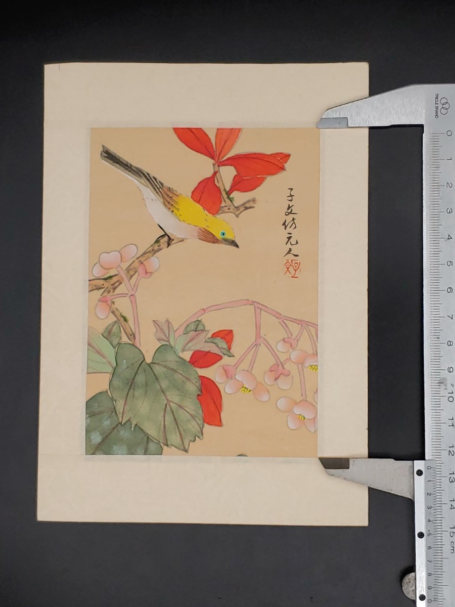 絵画 額付き ヒメバショウ 絹本 花鳥画 絵画 額付き ヒメバショウ 絹本 花鳥画