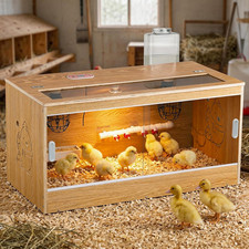 Brooder for Chicks, 32" Chicken Brooder with Feeding  Watering System, Upgrade