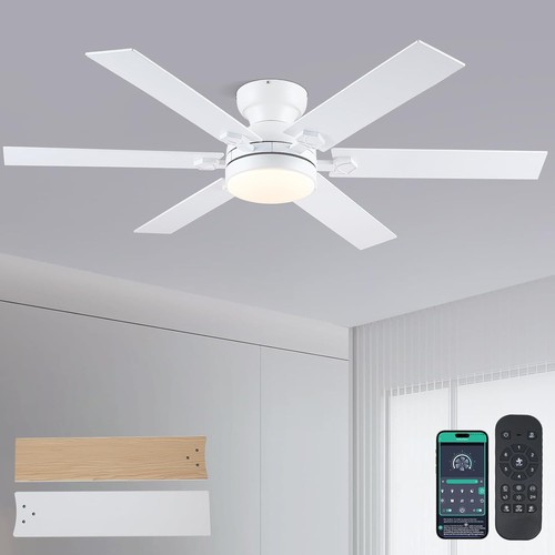 Low Profile Ceiling Fans with Lights and Remote, 52" Modern Outdoor Ceiling Fans