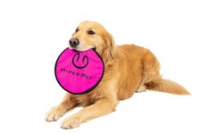 Hyper Pet Flippy Flopper Flying Disc Dog Toy 9 Inch, 9" Pack of 1, Multicolor
