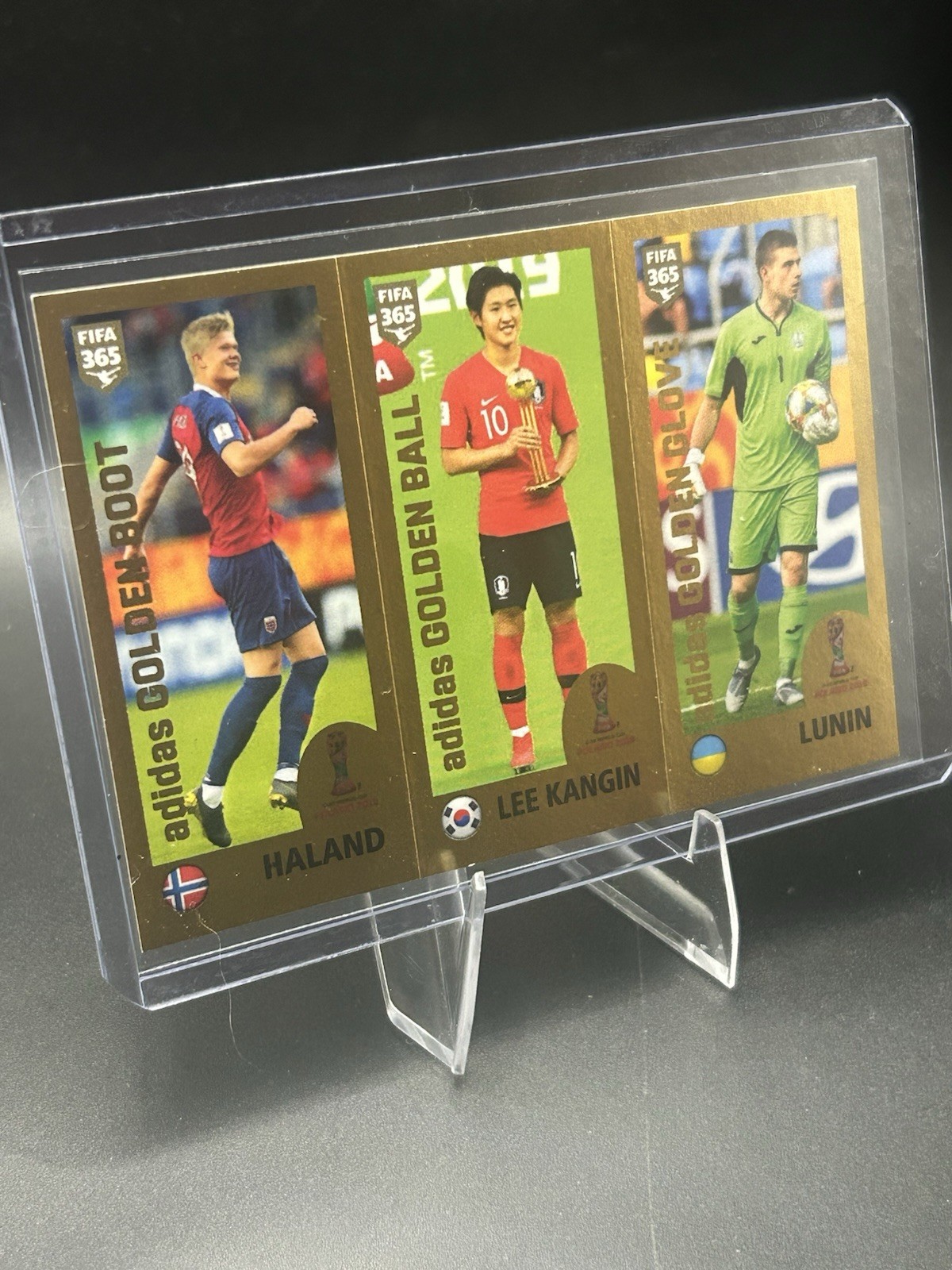 2019 Panini FIFA 365 Album Sticker Erling Haaland Rookie Lee Lunin 421A