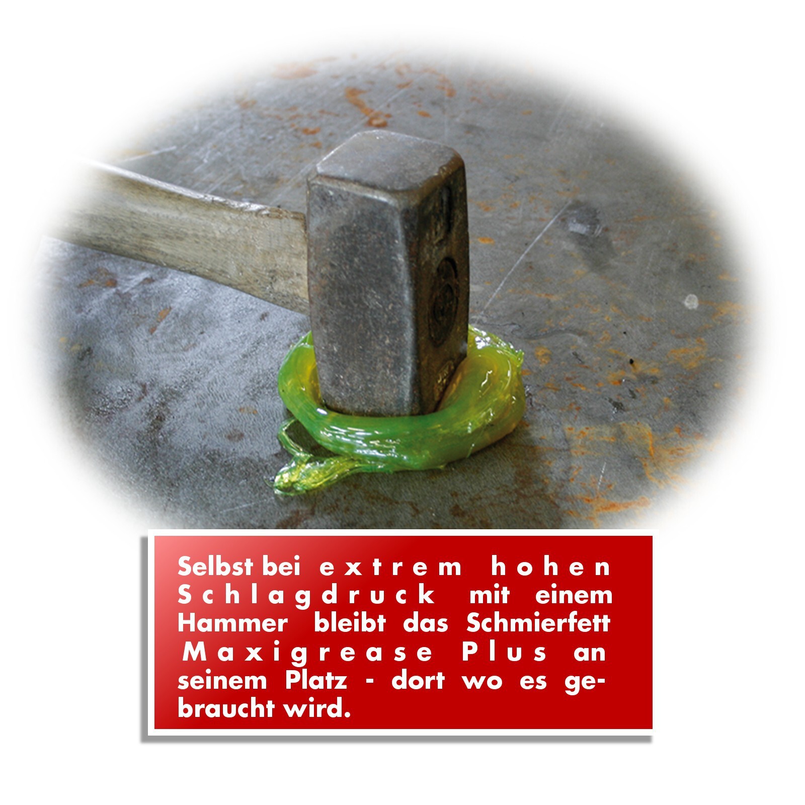 Bild 2 von 2