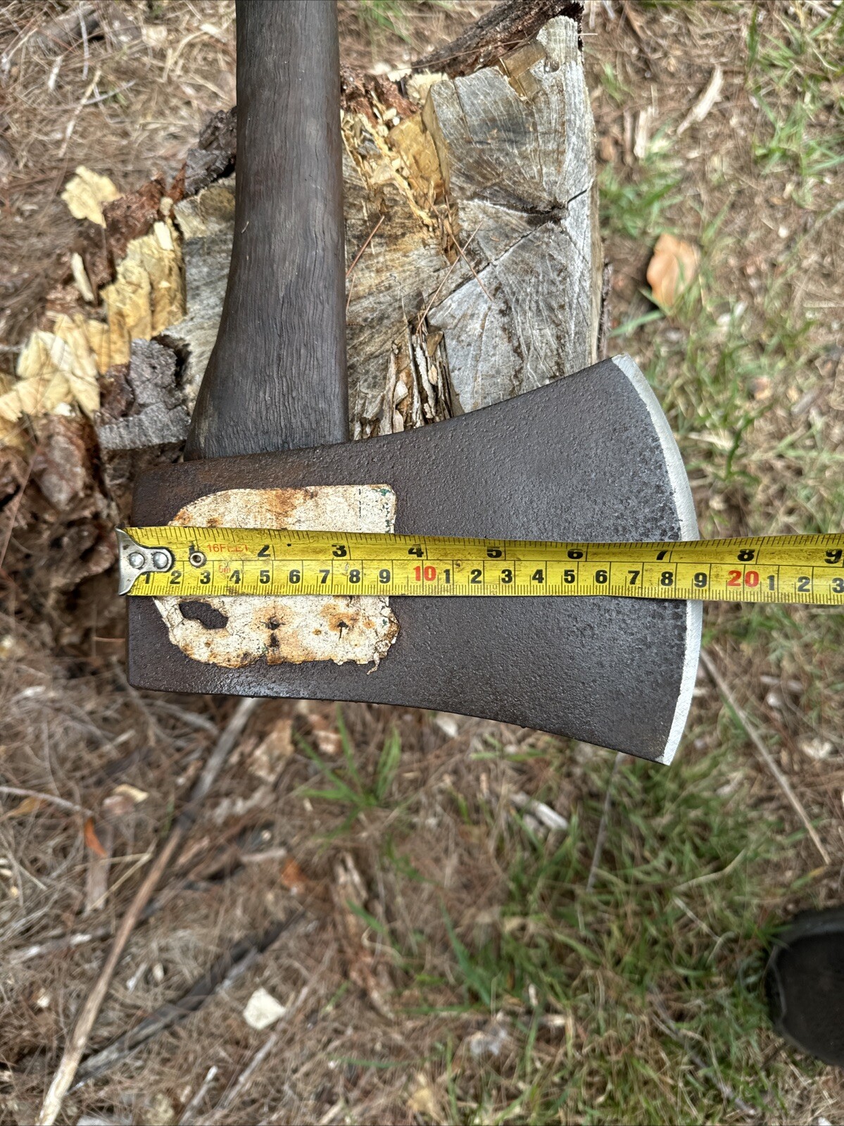 Picture 14 of 21