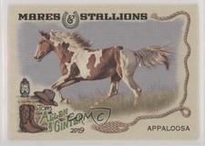 2019 Topps Allen & Ginter Mares and Stallions Appaloosa #MS-7 02v3