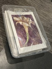 Floral Botanical Art Print Collection