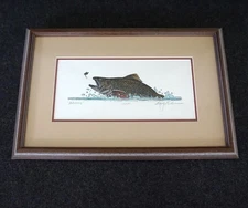 Brook Trout Fish Brookie Artwork Signed Print 12 / 500 Framed 11-1/8" x 17-1/8"