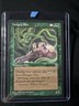 MTG 🌟Hungry Mist 🌟 Homelands - Magic the Gathering 1995
