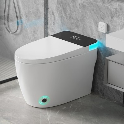 Smart Toilet with Adjustable Heated Seat Dryer Auto Open/Close Night Light
