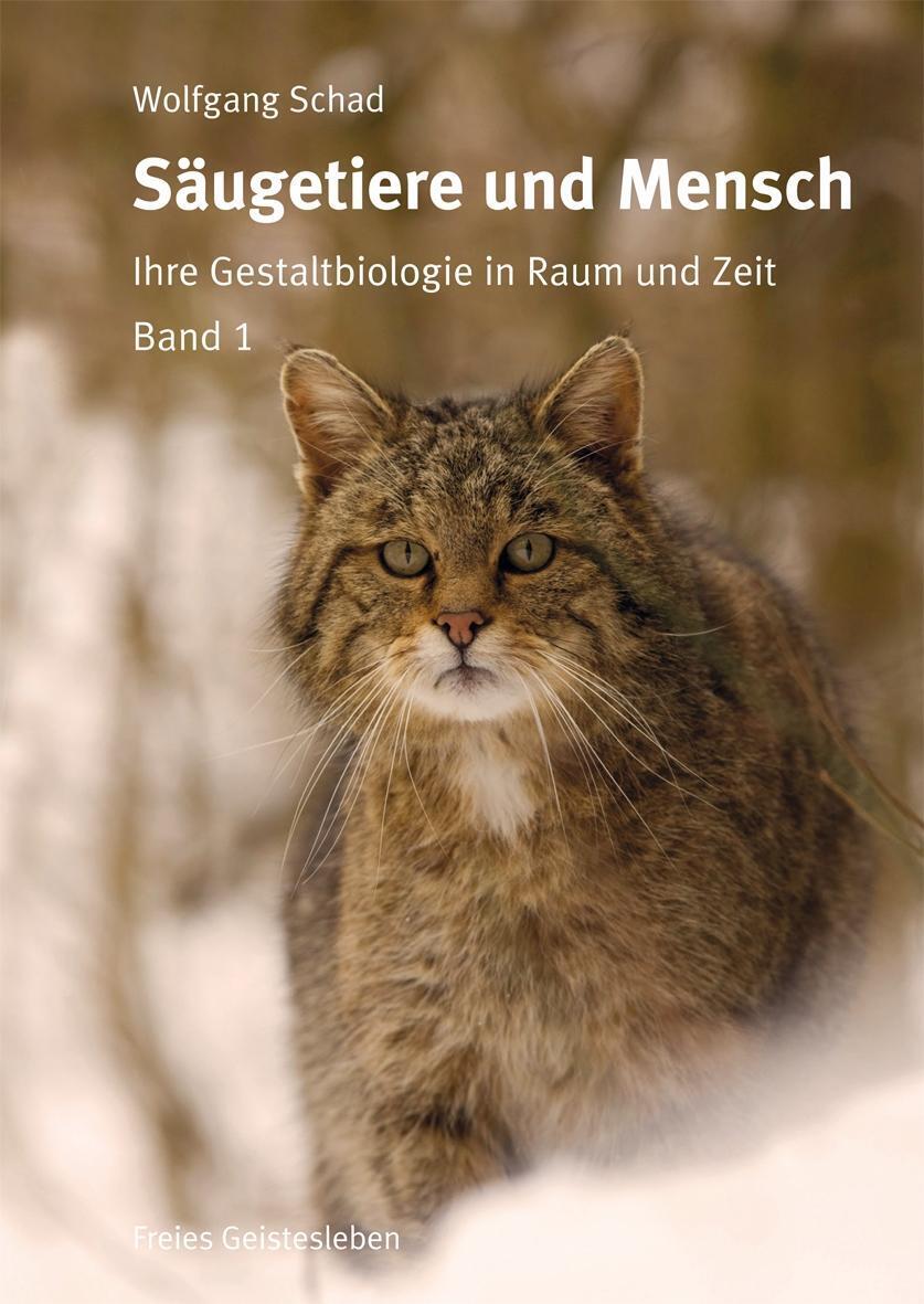 Thumbnail - Säugetiere Und Mensch. 2 Bände | Ihre Gestaltbiologie In Raum Und Zeit