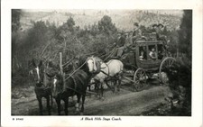 Postcard A Black Hills Stage Coach, Great Pho...