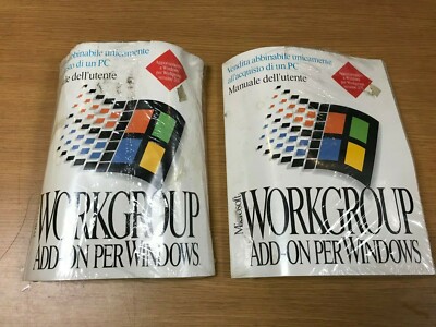MS WORKGROUP ADD-ON PER Windows Italian/Spanish Version