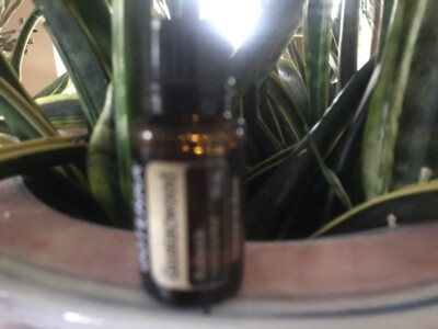 dōTERRA Guaiacwood 15 mL Essential Oil  NEW & SEALED Exp 07/27