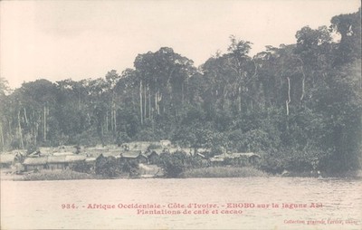 French colonies IVORY COAST EBOBO coffee plantation 1910s PC