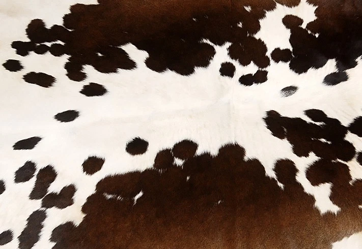 100% Echte Kuhhaut Teppich Teppich Haut Leder 13,75 Quadratfuß (45"x44") A1004 - Bild 2 von 3