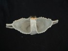 Vintage Porcelain Basket / Bud Vase w/Gold Trim - Made in Germany  4” x 4” — photo 7