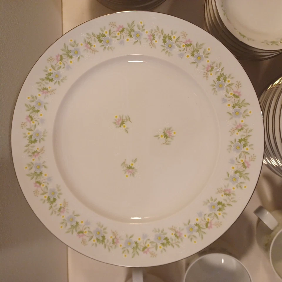 Johann Haviland Bavaria Forever Spring Juego de 60 Piezas Servicio para 12 Verde Foto 4 de 4