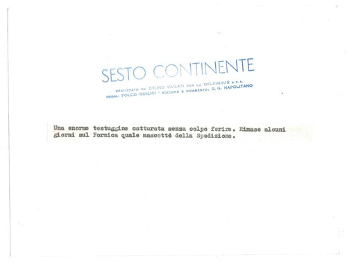 FOTO per SESTO CONTINENTE di FOLCO QUILICI - Cattura di una TESTUGGINE Timbri* - Picture 3 of 3