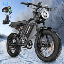 hikeep 20"Electric Bike 48V 15Ah 1000W Peak Mountain ebike Fat Tire e bike Adult