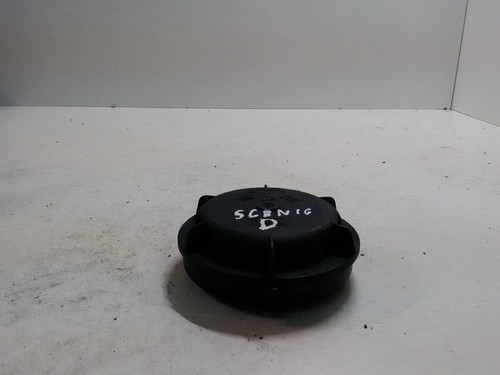 RENAULT GRAND SCÉNIC IV R9 Scheinwerferabdeckung 89001811 1.60 Petrol 29786832