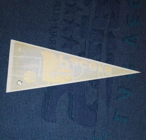 Bandera banderín de colección 1990 INDIANA PACERS NBA baloncesto 30 X 12 WinCraft EE. UU. - Imagen 5 de 6