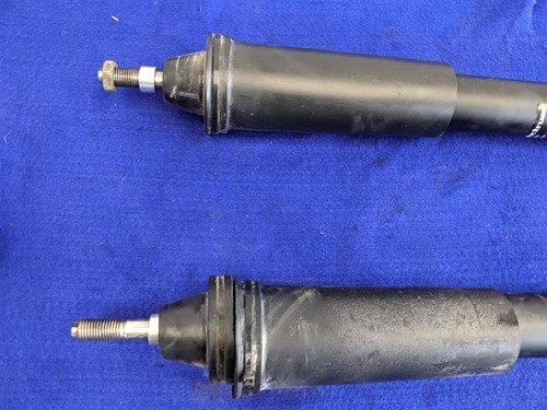 1999-2004 Ford Mustang Cobra SVT DOHC 4.6L Front Strut Pair Right Left - Picture 10 of 12
