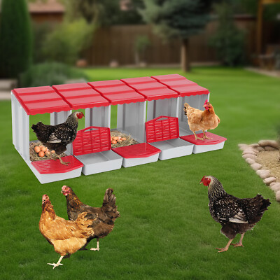 Modern 5-Compartment Chicken Nesting Box Chicken Laying Box with Egg Collection