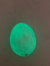 Esfera de huevo de cristal de cuarzo que brilla en la oscuridad verde luminosa pieza original 50x35 mm