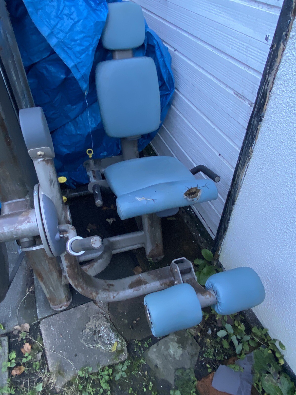 Pulse leg extension machine 100kg eBay