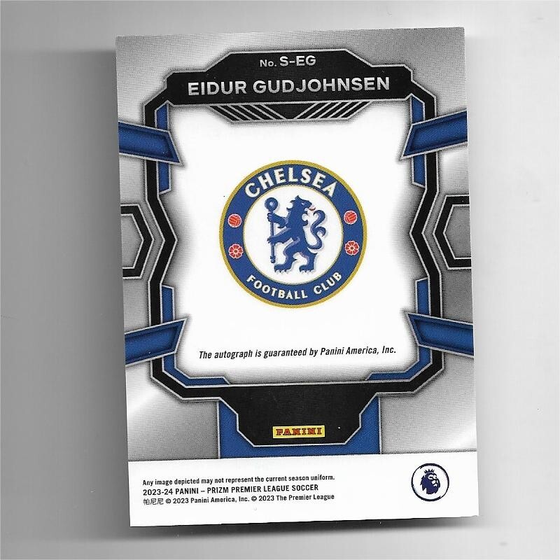 23-24 PANINI PRIZM GUDJOHNSEN 直筆サインカード 23-24 PANINI PRIZM GUDJOHNSEN 直筆サインカード - メルカリ
