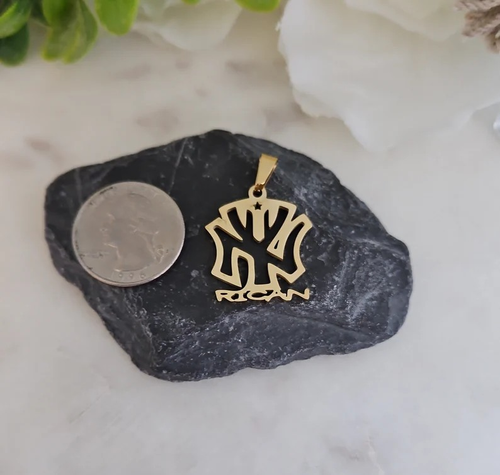 Gold New York Puerto Rican Pendant, PR Flag Pendant, 14k Heavy Plated Gold - Picture 3 of 6