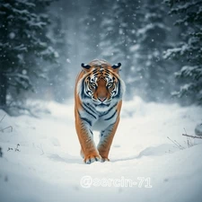 Digital Image Picture Photo Wallpaper Background Desktop AI Art Sample Product