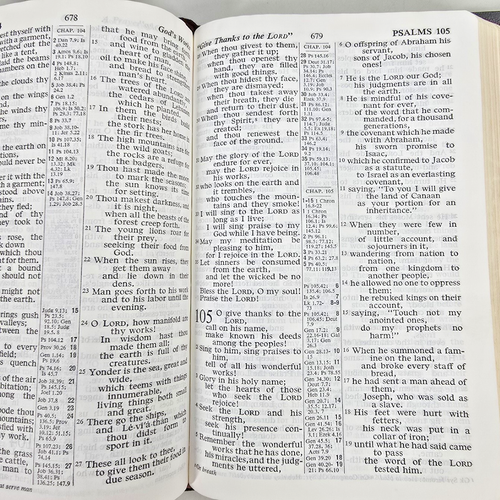 Holy Bible Revised Standard Version World Publishing 1962 Leather Concordance - Picture 12 of 20