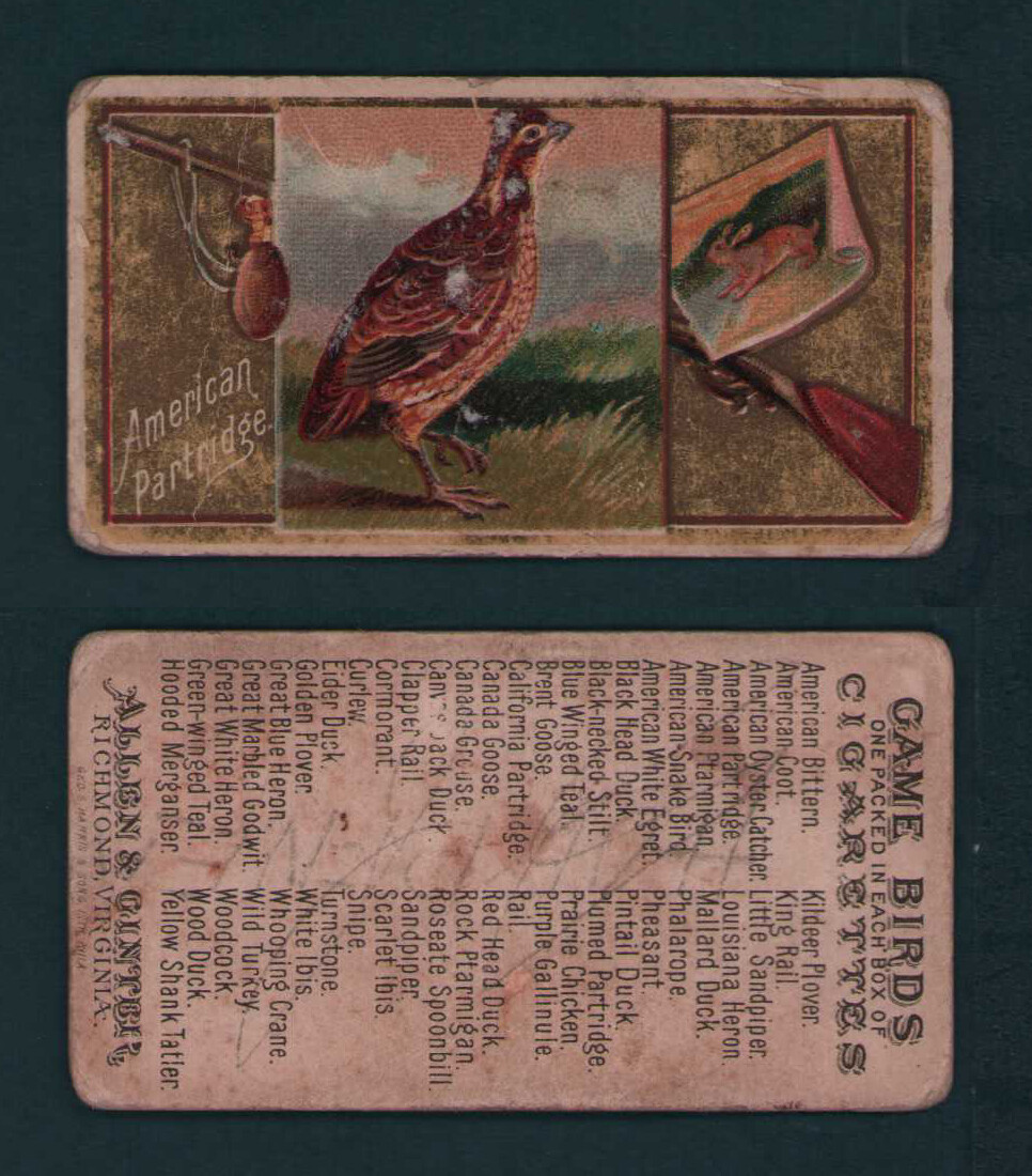 戦前カード　１８枚　ミケランジェロ　ワシントン　ベートーベン　ナイチンゲール 1889 Allen & Ginter - N13 Game Birds Tobacco Cards - U Pick | eBay