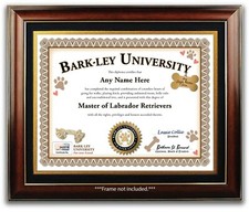 Labrador Retriever PERSONALIZED CERTIFICATE Diploma - Dog Tag Toy - Lover GIFT