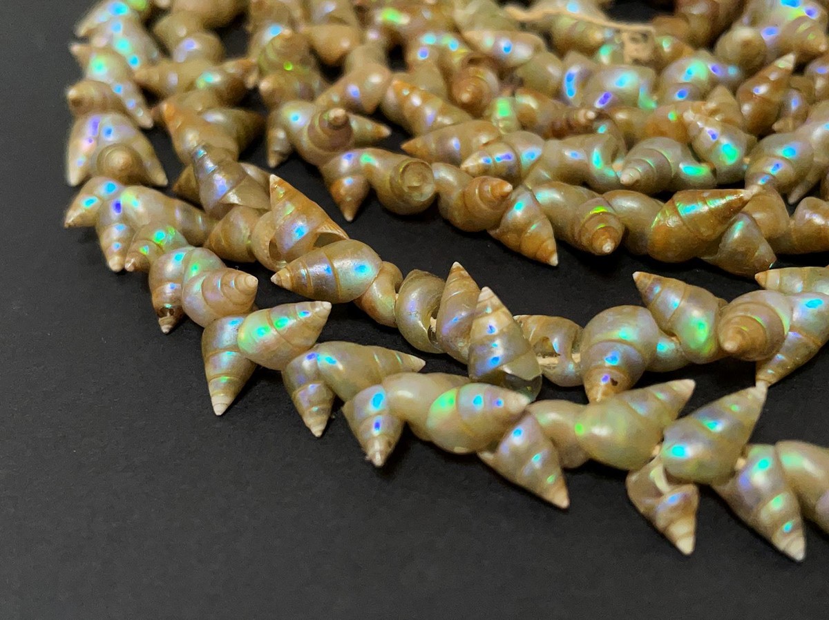 VINTAGE TASMANIAN ABORIGINAL MAIREENER SHELL NECKLACE LONG