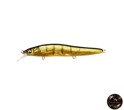 Megabass ONETEN R Hi-FLOAT GG Perch OB