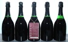 Sekt Schloss VAUX 5x 1969 Assmannshäuser Höllenberg Spätburgunder #db12033