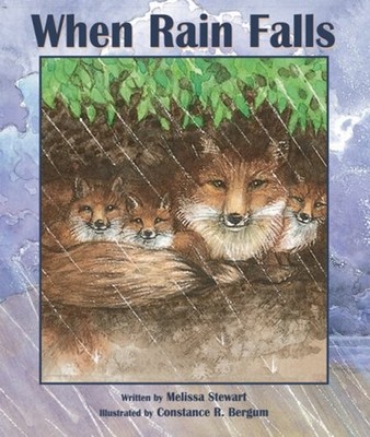 When Rain Falls Hardcover Melissa Stewart