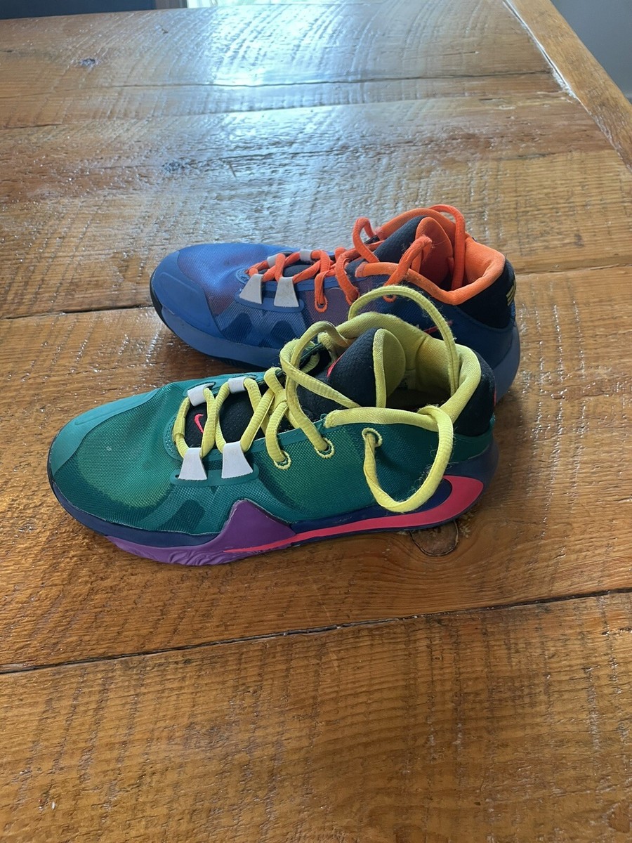 Nike Zoom Freak 1 ワットザ Nike Zoom Freak 1 GS What The MultiColor GiannisYouth Boys