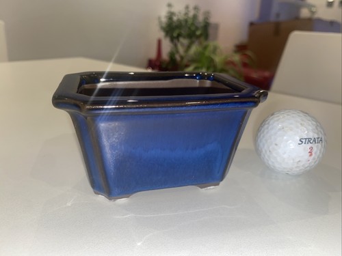Shohin Bonsai Pot Japanese Small Bonsai Pot With Dark Blue Glazing - Picture 4 of 10