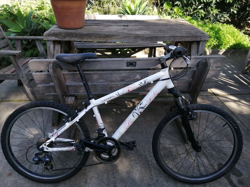hasa kids mountain bike