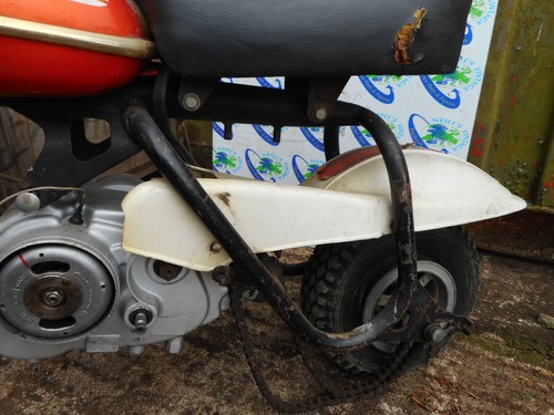 honda monkey bike canada