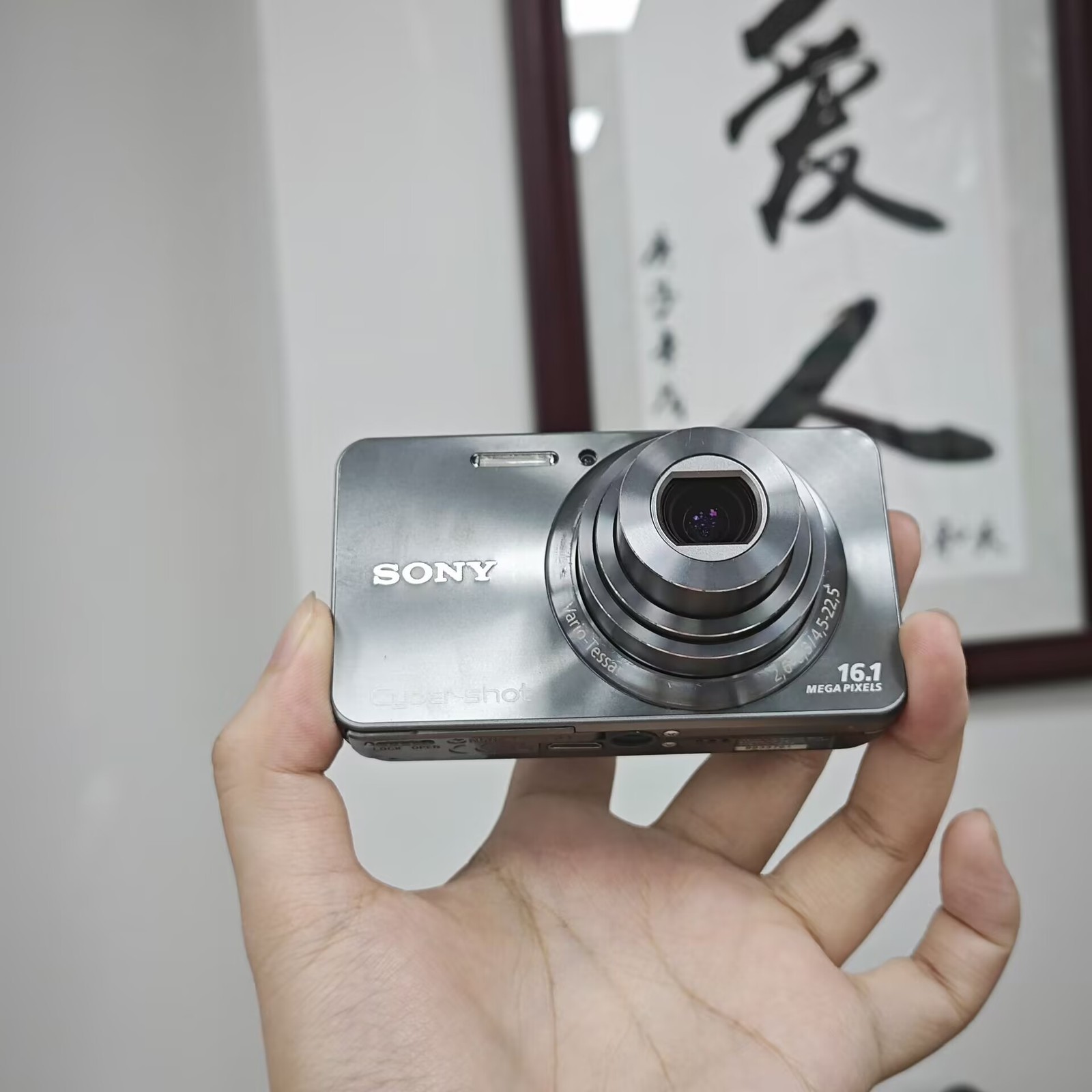 SONY Cyber-shot DSC-W570 Silver Digital Camera 16.1 MP 5x Optical Zoom English