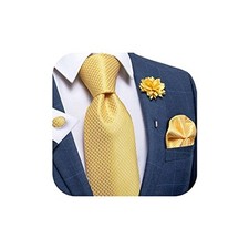 Silk Ties for Men Necktie and Lapel Pin Brooch Set Formal Woven Paisley Yellow
