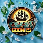 [2D Flat] 1pc The Goonies" Vintage-Inspired Tin Metal Signs Home Décor 8x8 Roun