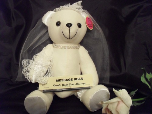 Bride Bear Signature Autograph Bear Hens Night Wedding Bridal Shower Guest Book
