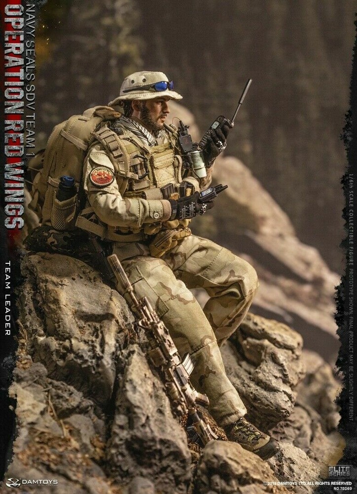 In Stock 1/6 Damtoys 78069 Operation Red Wings Navy Seals Sdv Team