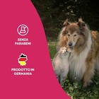 Foto 6 di 6