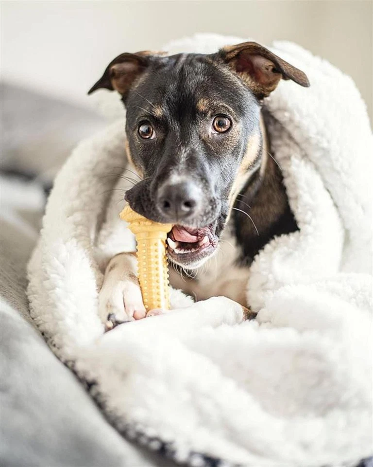 Juguete para masticar con barra grande duradero sabor mantequilla de maní salud dental hecho en EE. UU. Foto 2 de 4